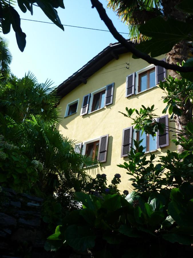 Casa Petra Appartement Gambarogno Buitenkant foto